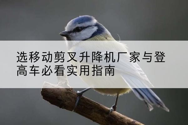 双清电动升降机厂家-选移动剪叉升降机厂家与登高车必看实用指南