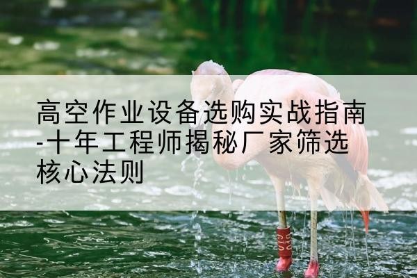 双清剪叉式升降机厂家-高空作业设备选购实战指南-十年工程师揭秘厂家筛选核心法则