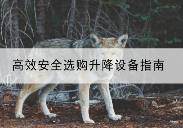 双清升降货梯厂家推荐-*安全选购升降设备指南