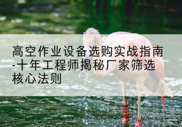 双清剪叉式升降机厂家-高空作业设备选购实战指南-十年工程师揭秘厂家筛选核心法则